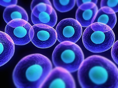 Stem cells 101