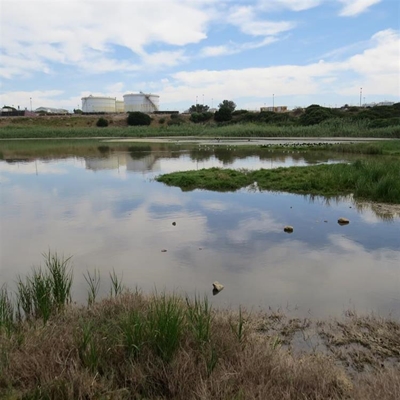 Rioolprobleem in Tweekuilen reeds aangespreek