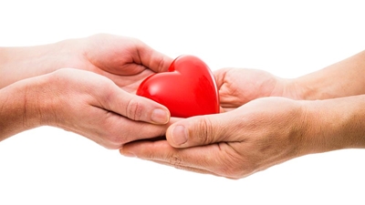 An organ donor can save 7 lives