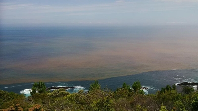 Red tide warning