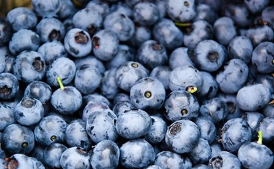 Blueberries boost brain function