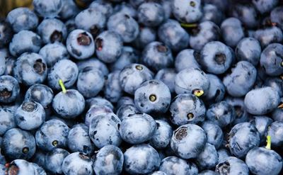 Blueberries boost brain function