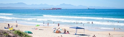 Join fun beach clean up
