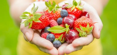 Municipality to host 7th wellness event