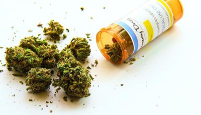 Is dagga getting the green light?