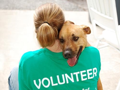 SPCA needs volunteers