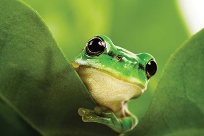 Biodiversity seminar in May