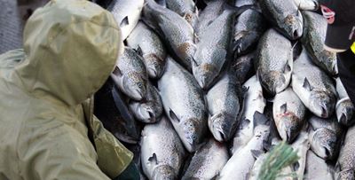 Fishing rights: Corruption probe