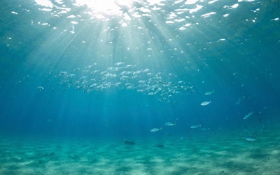 World Oceans day on 8 June