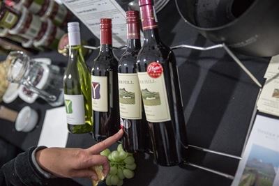 The Knysna Wine Festival