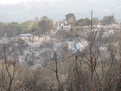 Update on plans to rebuild Knysna