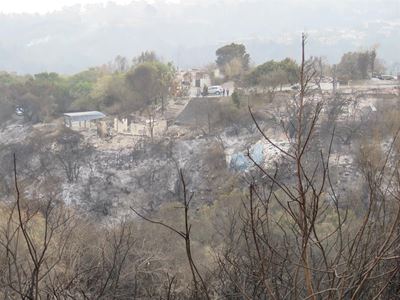 Update on plans to rebuild Knysna