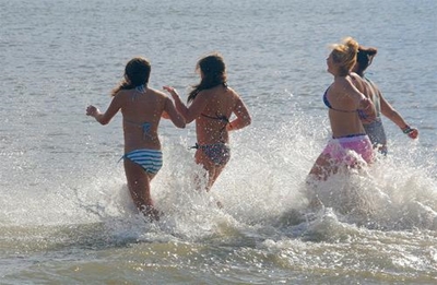Don't miss the Polar Bear Plunge