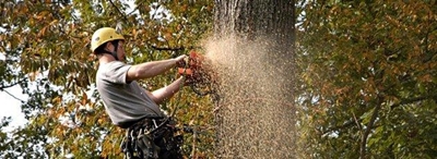 Homeowner, keep your yard fire-safe