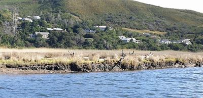 Rangers notice marked difference in bird activity