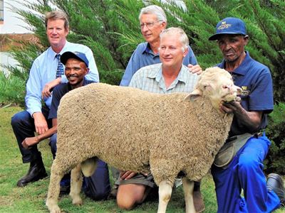 12th Normandy Stud Production Sale a success