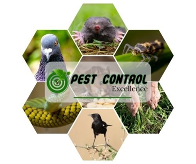 Pest Control Excellence earns Best of George nomination – A testament to trust, quality, and community