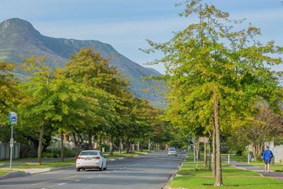 City Nature Challenge 2021: Put Garden Route on the bio-map