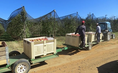 Finding a solution to agriculture’s skills gaps