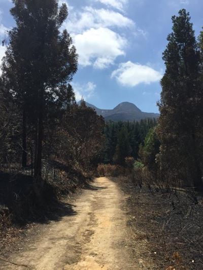 Sunday Garden Route fire update