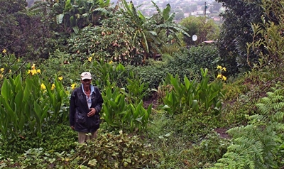 Gardeners holding breath for prize giving