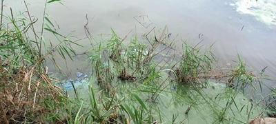 Island Lake temorarily closed for recreation