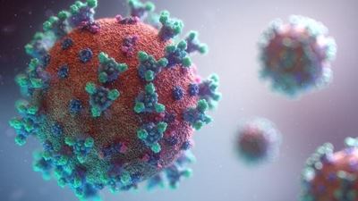 SA records 1 103 new COVID-19 cases