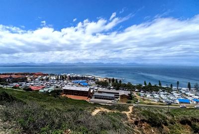 Pluimpie vir Mosselbaaiers