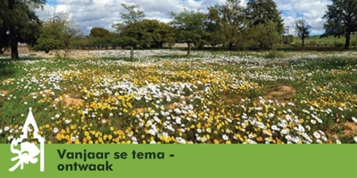Clanwilliam-veldblomskou is terug na goeie reen