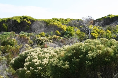 Conservation conversations return to the Wilderness