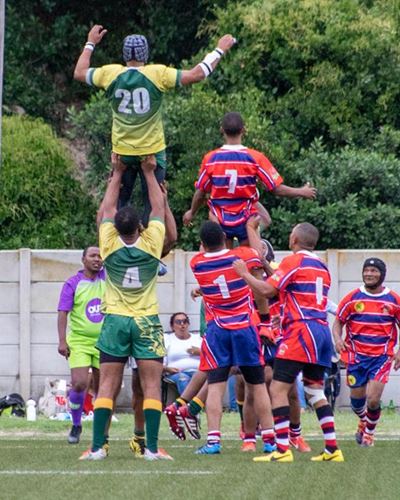 Stellar start for Stars, United