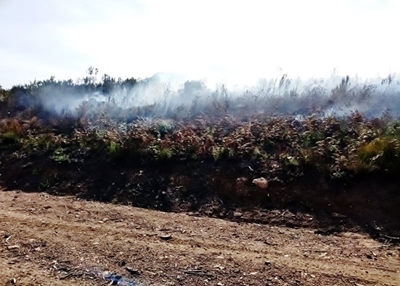 Fire under control