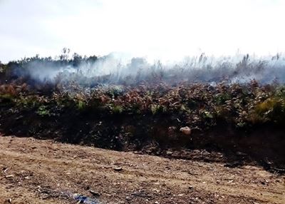 Fire under control