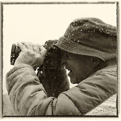 Talle kunsgenres kuier in Stilbaai