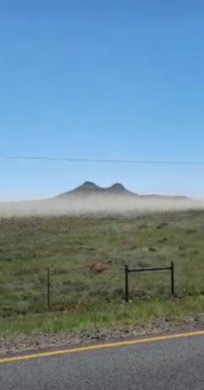 Ses sprinkaanswerms verwoes weiding in Karoo