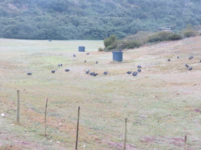 Steeds geen uitsluitsel oor Julie-se-Baai