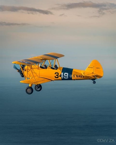 Yellow Bird, up high over Plett