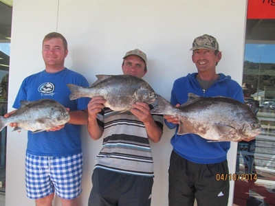 Petrus Conradie is Mosselbaai se galjoenkoning