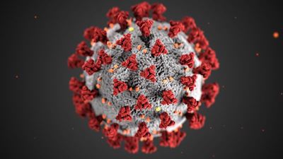 Decrease in the number of new Covid-19 cases