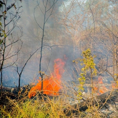 Fire season over, controlled burns again allowed