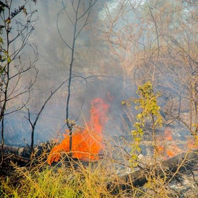 Fire season over, controlled burns again allowed