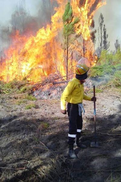 Working on Fire: Kishugu JV Tackles Intensifying Fire Seasons Amidst Global Climate  Challenges