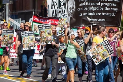 March against animal abuse