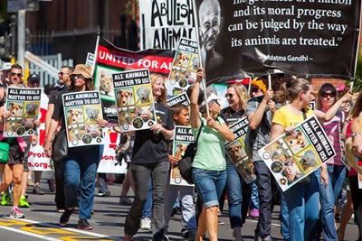 March against animal abuse