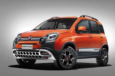 Panda has crossover appeal