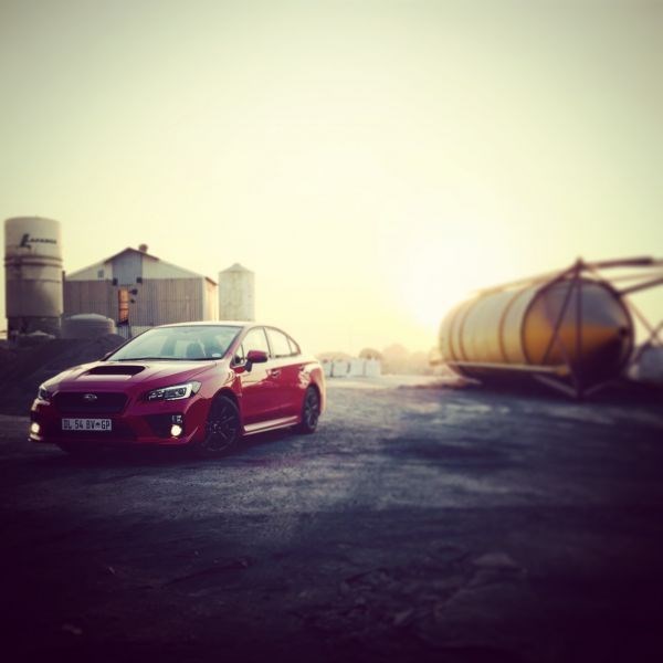 autodealer_1502_4.jpg