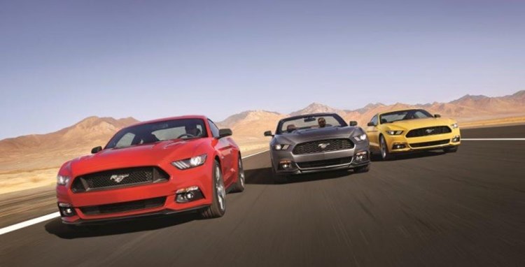 autodealer_1570_5.jpg