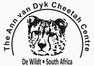 Kiehl's Charity Cheetah Karting Day: Racing for a good cause