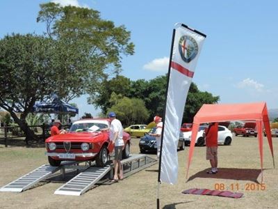 Alluring Alfas on display