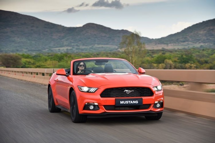 autodealer_1821_7.jpg